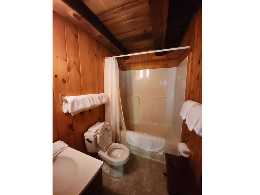 Cabin bathroom with bathtub