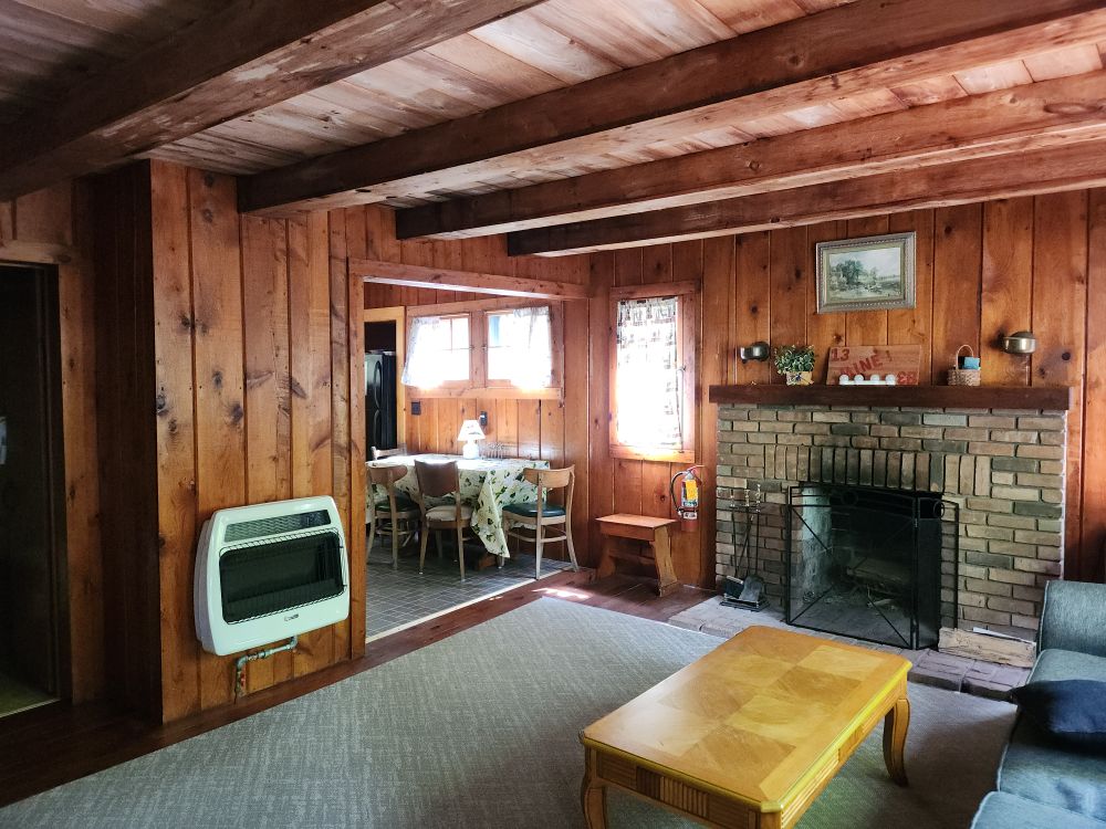 Porter's Cottages cabin interior living space with fireplace